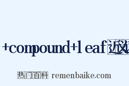 +compound+leaf近义词是什么意思的图片